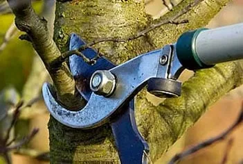 Affordable lawn mowing service experts serving Kent, WA - Corral Lawn & Landscaping