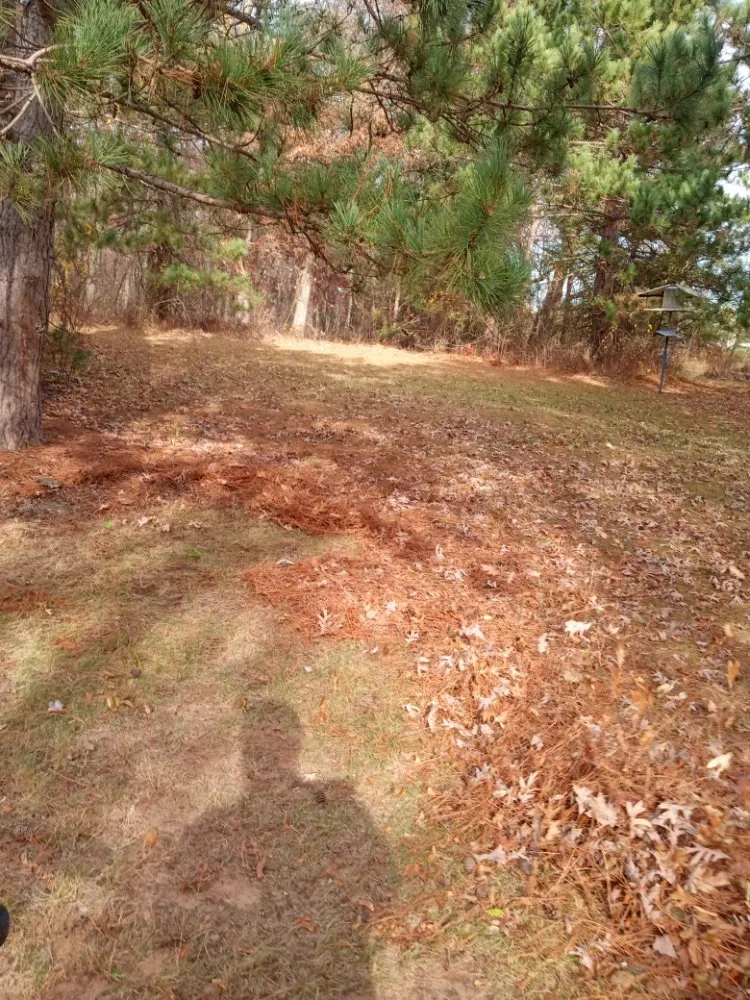 Custom garden landscaping experts serving Arkdale, WI - Corral Unlimited Services