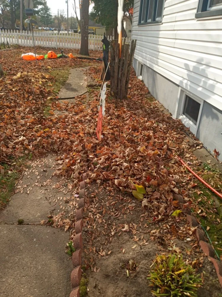 Reliable landscape installation for beautiful yards across Arkdale, WI - Corral Unlimited Services