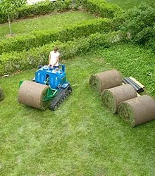 Trusted yard cleanup service in Carson, CA by Corrales Gardening Services