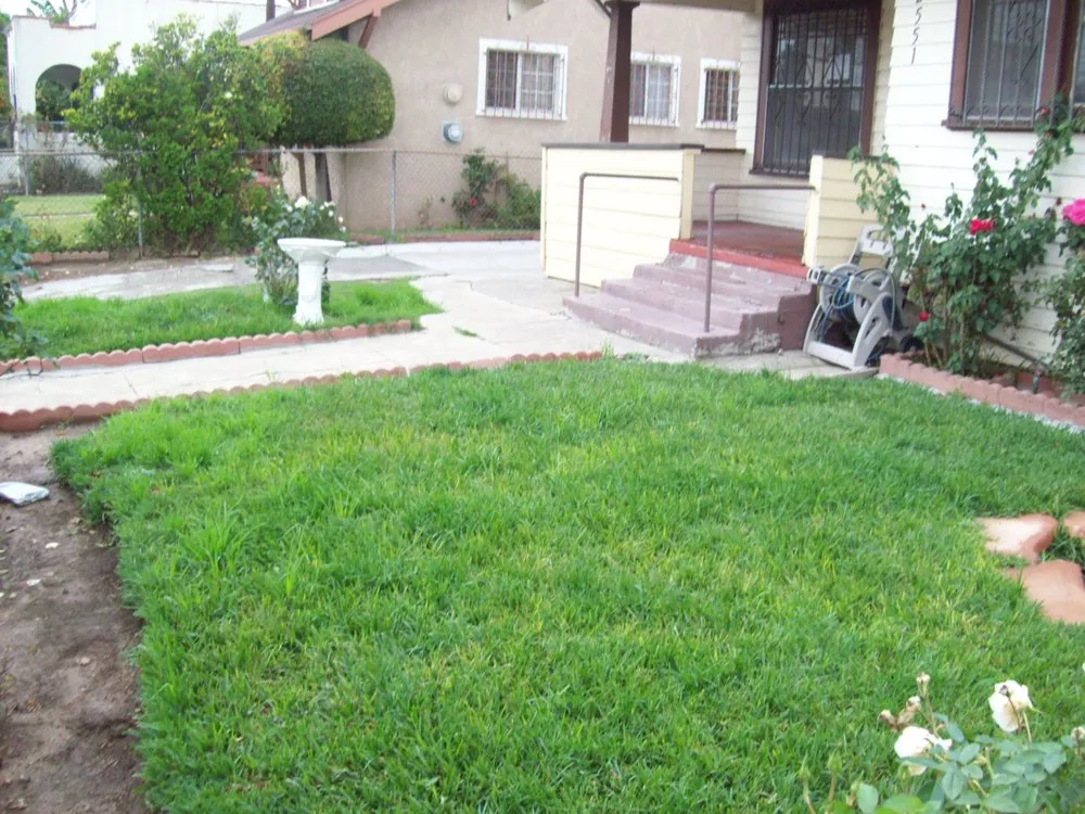 Affordable landscape design in Carson, CA - Corrales Gardening Services