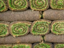 Expert garden landscaping in Carson, CA by Corrales Gardening Services