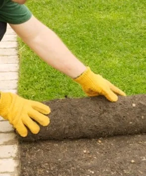 Professional outdoor landscaping with custom design across Carson, CA - Corrales Gardening Services