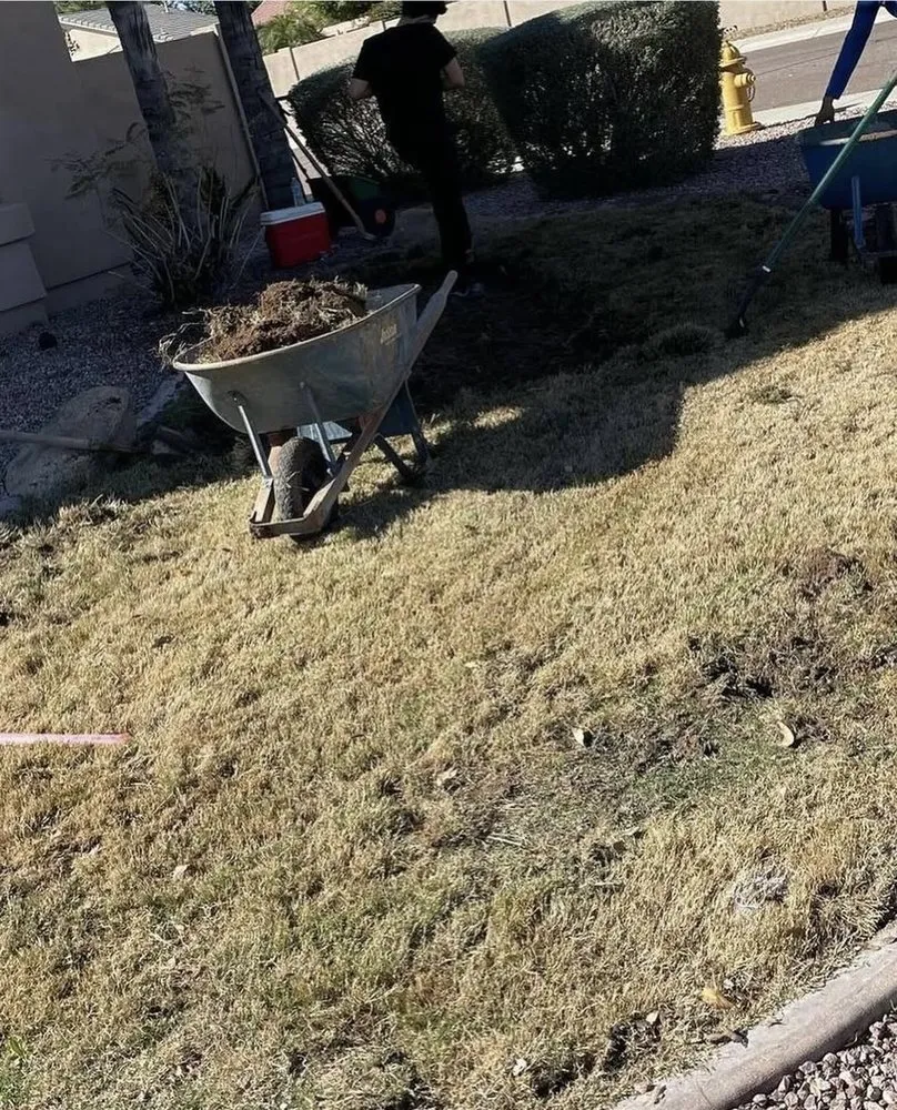 Local landscape design experts serving Phoenix, AZ - Corrales Landscaping