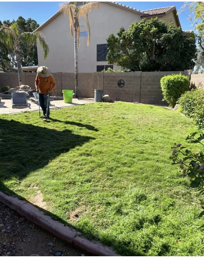 Top-rated landscape installation in Phoenix, AZ by Corrales Landscaping