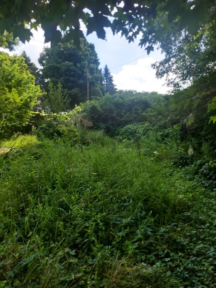 Professional residential landscaping in Donna, TX by Correa and Son Landscaping and tree service