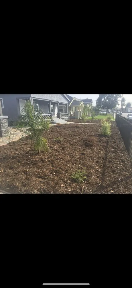 Affordable landscaping services in Pasadena, CA - Correa Landscape & Irrigation