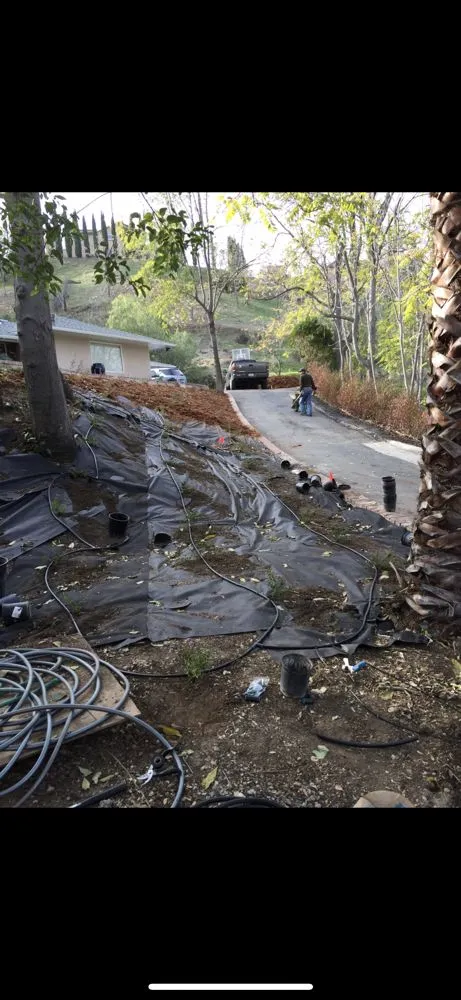 Expert yard cleanup service experts serving Pasadena, CA - Correa Landscape & Irrigation