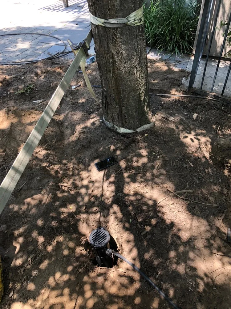 Trusted landscape installation for outdoor upgrades in Pasadena, CA by Correa Landscape & Irrigation