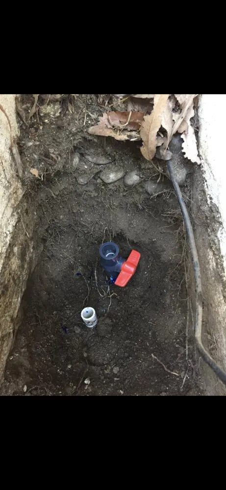 Top-rated lawn care service with custom design across Pasadena, CA - Correa Landscape & Irrigation