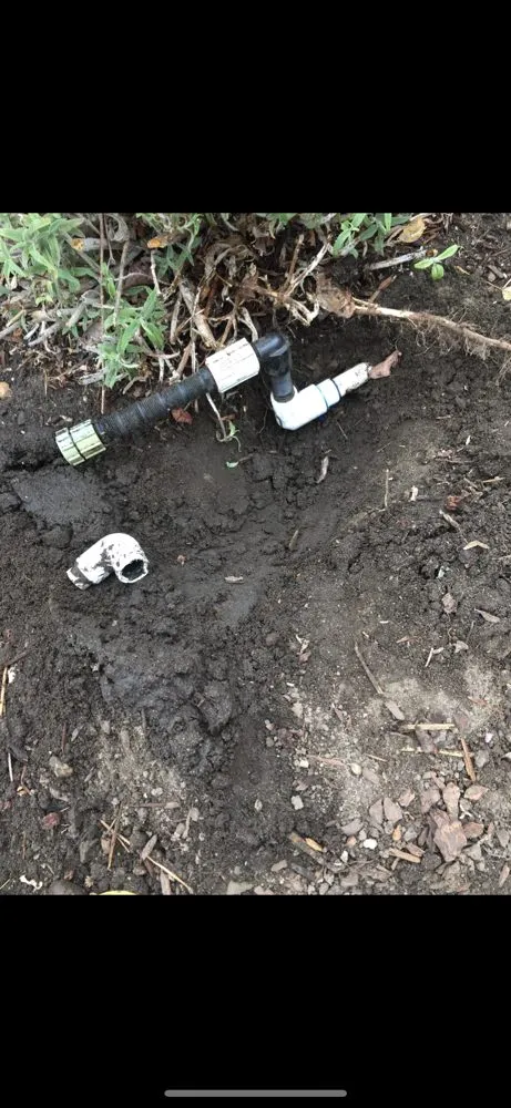 Affordable garden landscaping experts serving Pasadena, CA - Correa Landscape & Irrigation