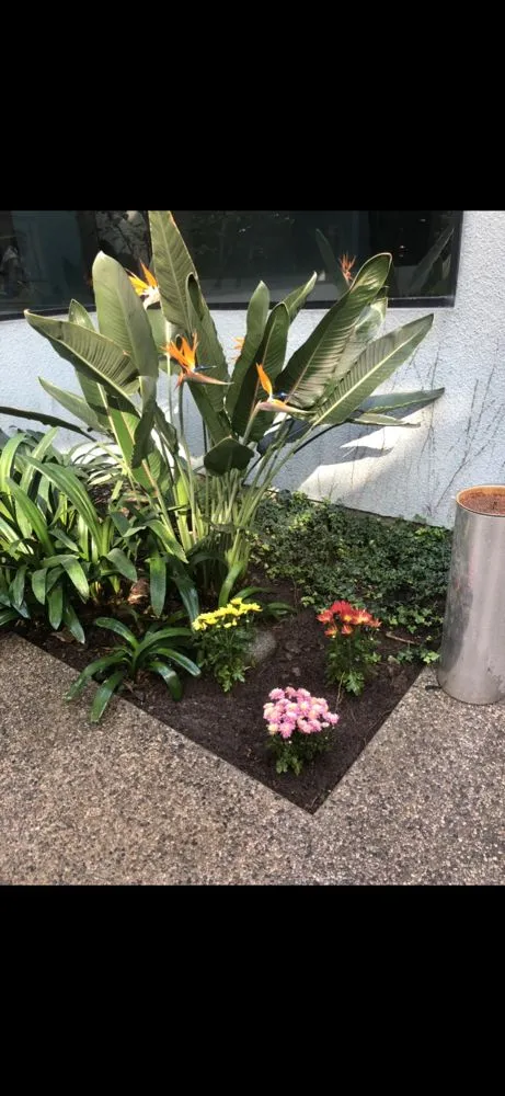 Expert lawn mowing service for beautiful yards across Pasadena, CA - Correa Landscape & Irrigation