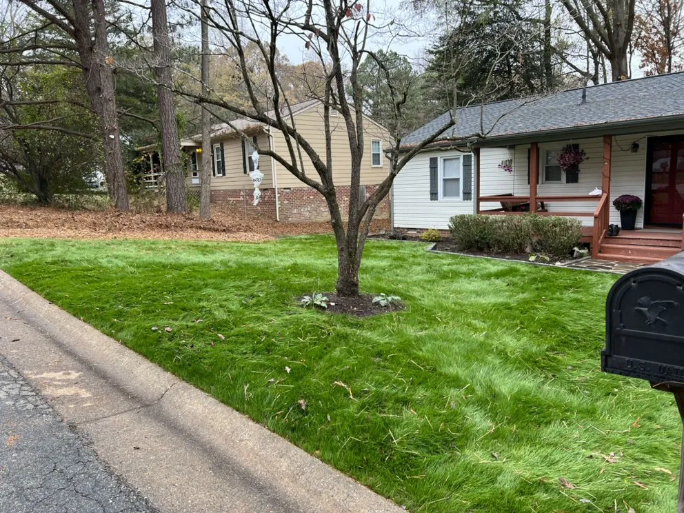Professional landscape design near you in Manakin Sabot, VA by Correa's Lawn Care