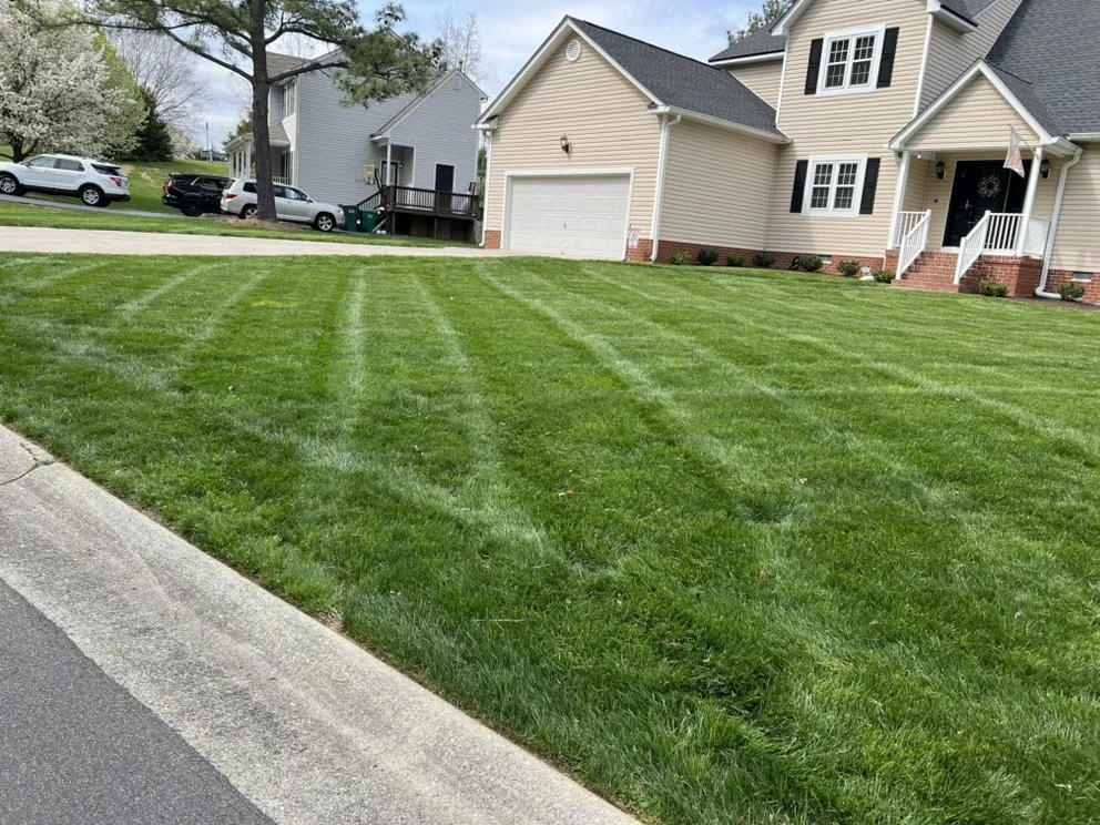 Affordable yard cleanup service in Manakin Sabot, VA by Correa's Lawn Care