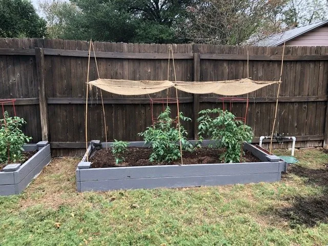 Trusted lawn mowing service for beautiful yards across San Antonio, TX - Correct Cuts Landscape