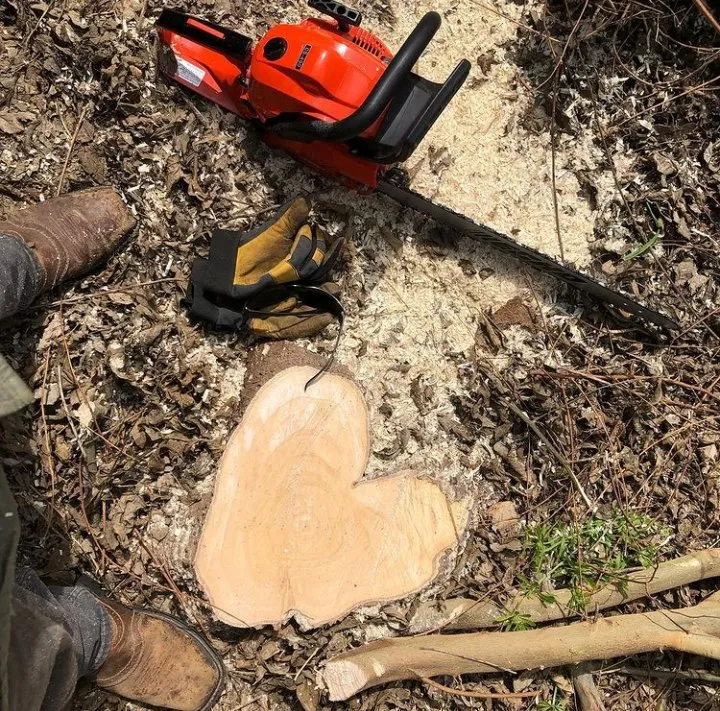 Expert yard maintenance for homes across San Antonio, TX - Correct Cuts Landscape