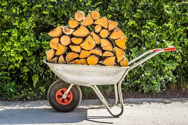 Professional yard cleanup service in San Antonio, TX - Correct Cuts Landscape