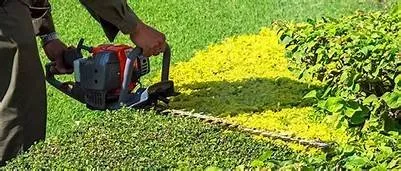 Expert lawn care service in San Antonio, TX by Correct Cuts Landscape