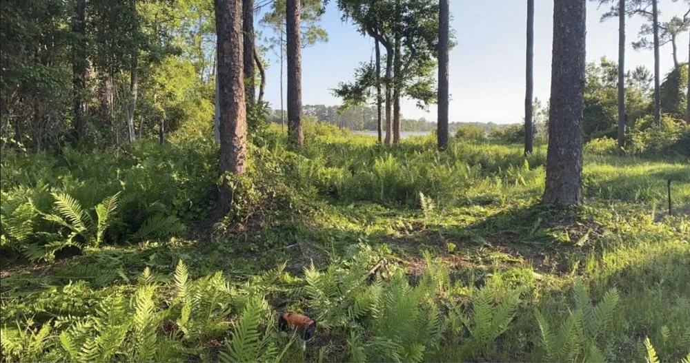 Affordable garden landscaping experts serving St. Cloud, FL - Corredor & Three Sons