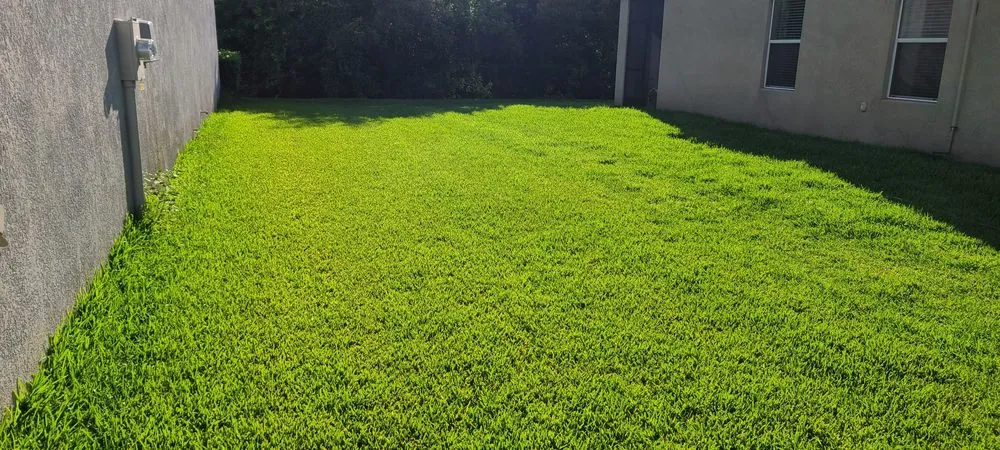 Trusted residential landscaping in Sun City Center, FL - Corso Landscape