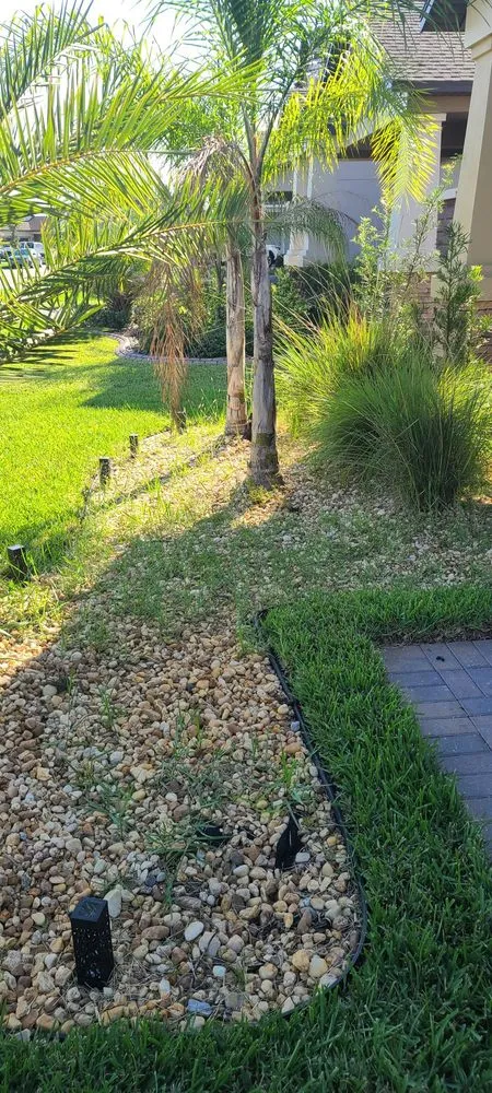 Professional lawn care service in Sun City Center, FL by Corso Landscape