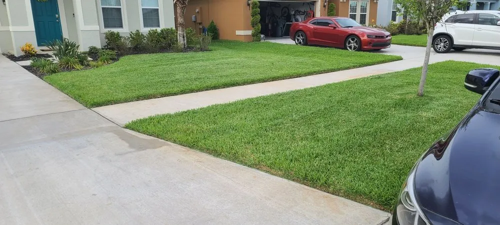 Reliable landscape design in Sun City Center, FL by Corso Landscape