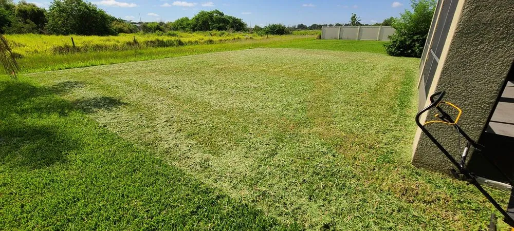 Reliable lawn care service in Sun City Center, FL by Corso Landscape