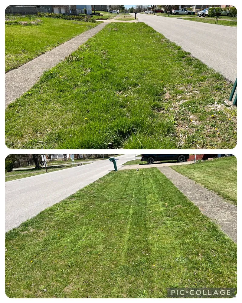 Top-rated yard cleanup service experts serving Louisville, KY - Corso Lawn Care Services