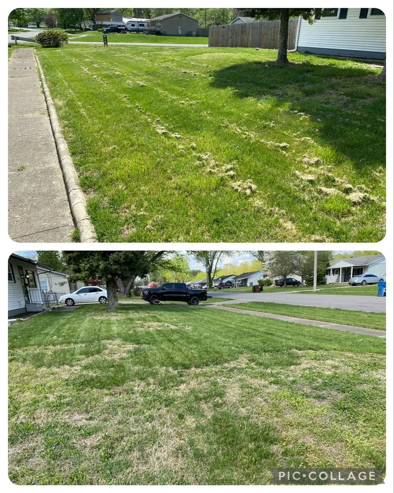 Custom yard cleanup service for homes across Louisville, KY - Corso Lawn Care Services