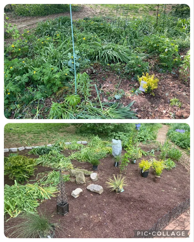 Expert landscape installation for residential properties across Louisville, KY - Corso Lawn Care Services