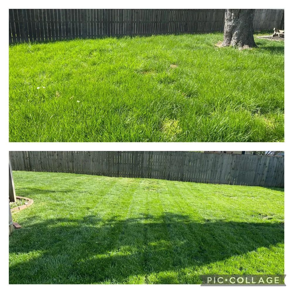 Custom lawn mowing service for outdoor upgrades in Louisville, KY by Corso Lawn Care Services