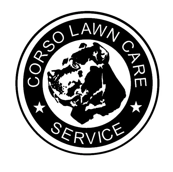 Expert lawn care service near you across Louisville, KY - Corso Lawn Care Services