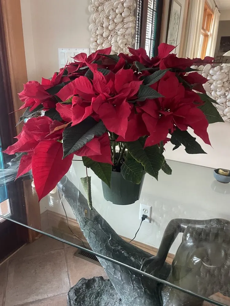 Trusted landscape installation in Sandusky, OH by Corsos Flower and Garden Center