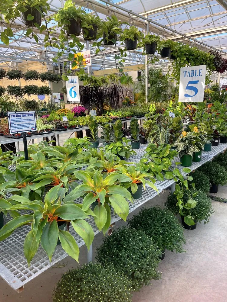 Expert yard cleanup service for residential properties across Sandusky, OH - Corsos Flower and Garden Center