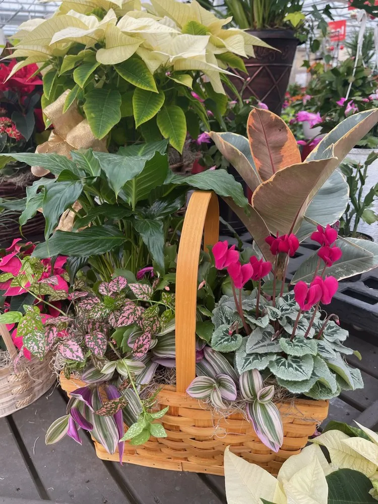 Reliable landscape installation near you across Sandusky, OH - Corsos Flower and Garden Center