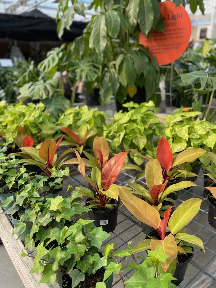 Affordable landscape design for residential properties across Sandusky, OH - Corsos Flower and Garden Center