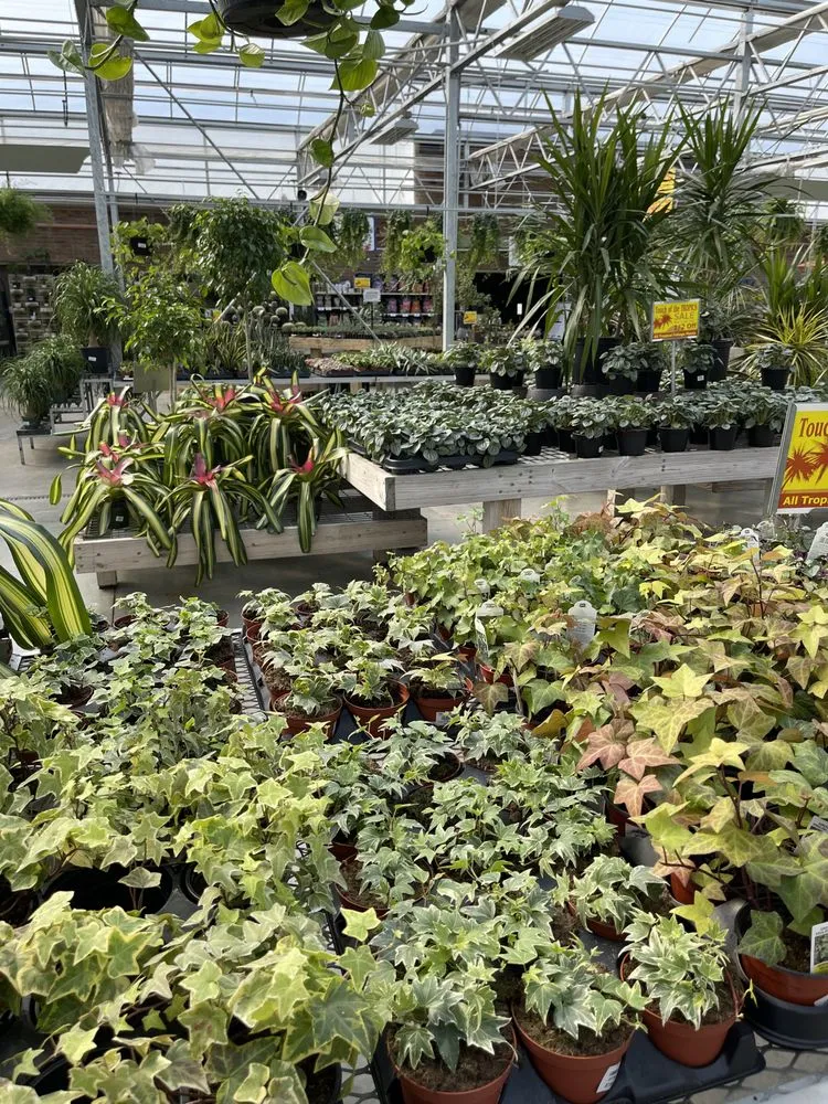 Custom yard cleanup service experts serving Sandusky, OH - Corsos Flower and Garden Center