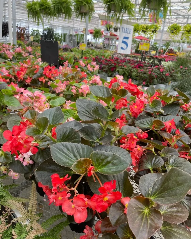 Expert garden landscaping experts serving Sandusky, OH - Corsos Flower and Garden Center