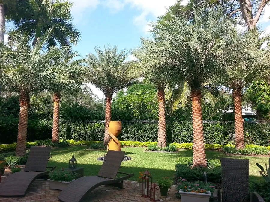 Professional landscape design in Miami, FL - Cortada Landscape Design