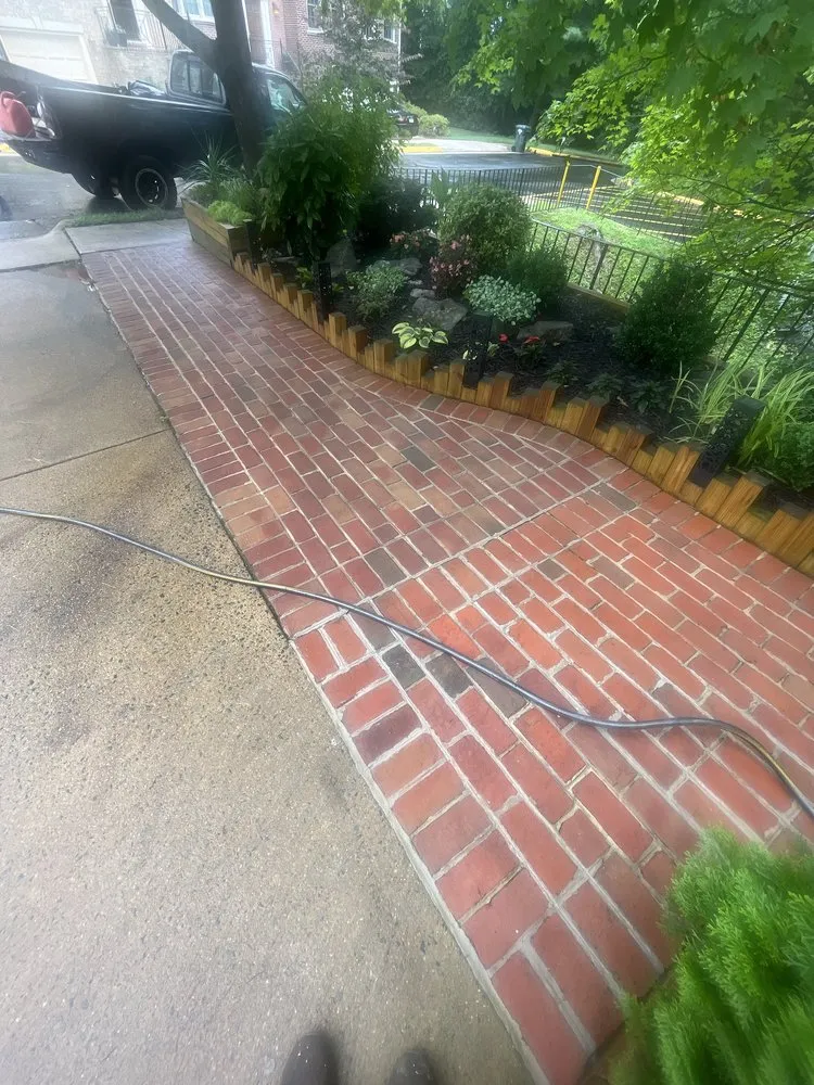 Custom yard cleanup service experts serving Calverton, MD - Corte Cutz