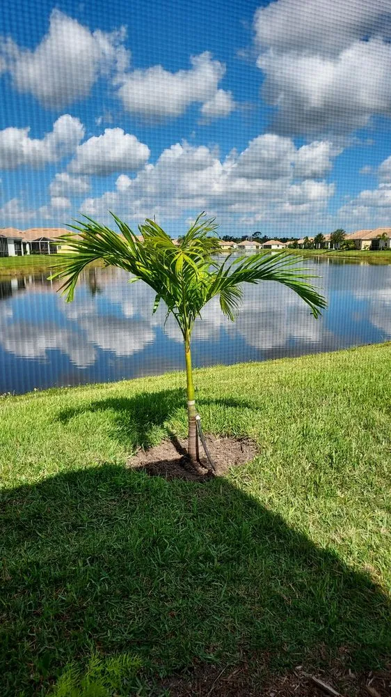 Top-rated yard cleanup service in Punta Gorda, FL by Cortes & Sons Landscaping & Nursery