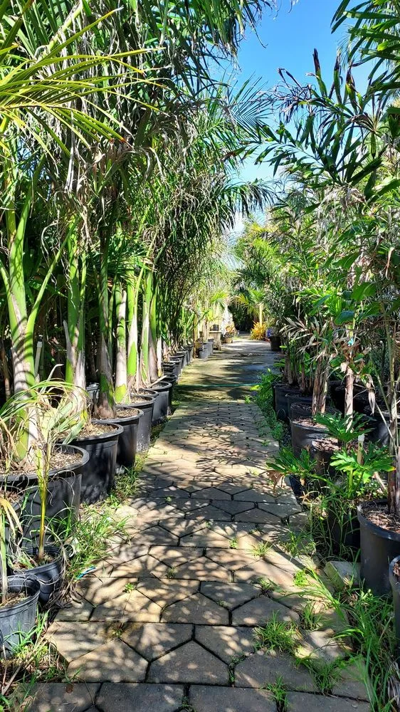 Custom yard maintenance in Punta Gorda, FL by Cortes & Sons Landscaping & Nursery