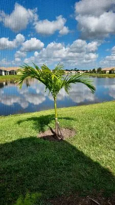 Cortes & Sons Landscaping & Nursery