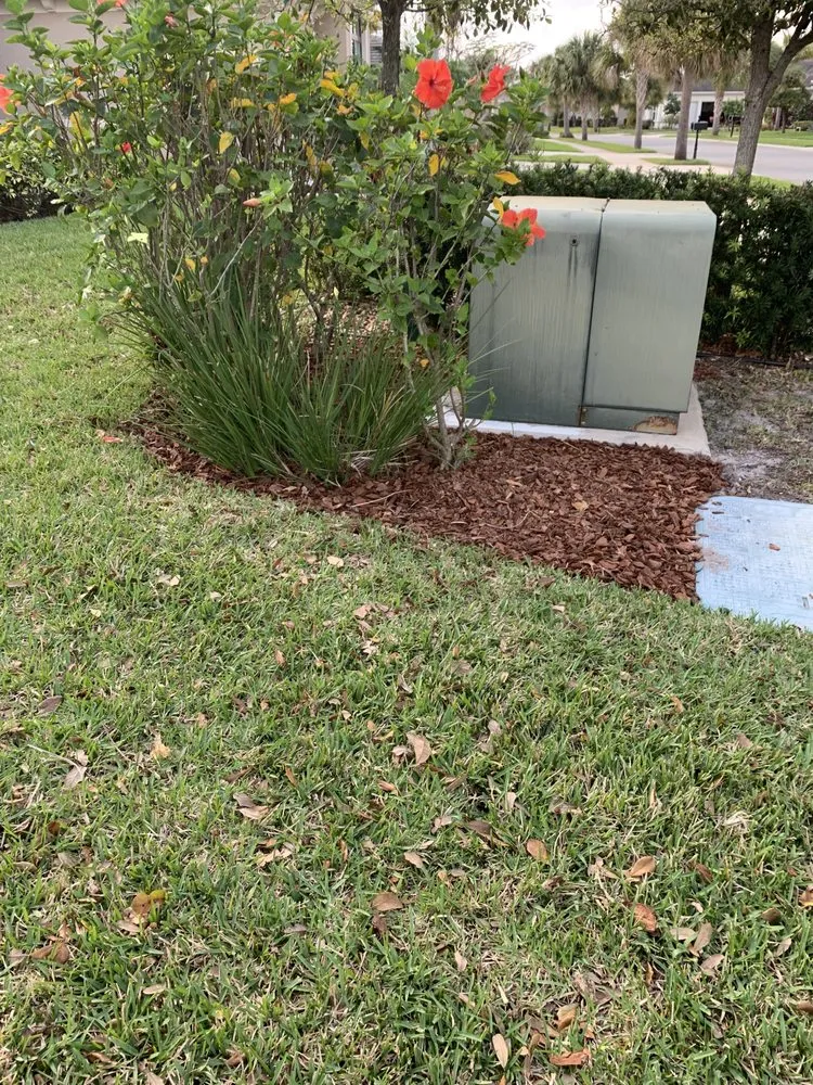 Local landscape installation experts serving Rockledge, FL - Cortes & Sons Services