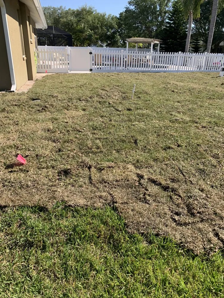 Expert yard cleanup service for homes across Rockledge, FL - Cortes & Sons Services