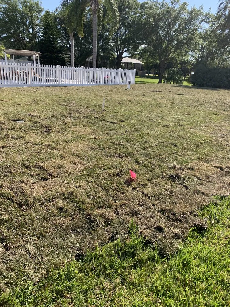 Reliable yard cleanup service with custom design across Rockledge, FL - Cortes & Sons Services