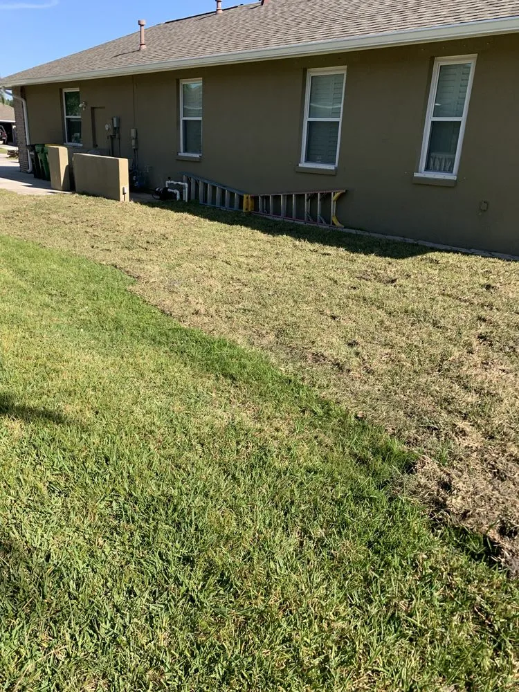 Affordable lawn care service experts serving Rockledge, FL - Cortes & Sons Services