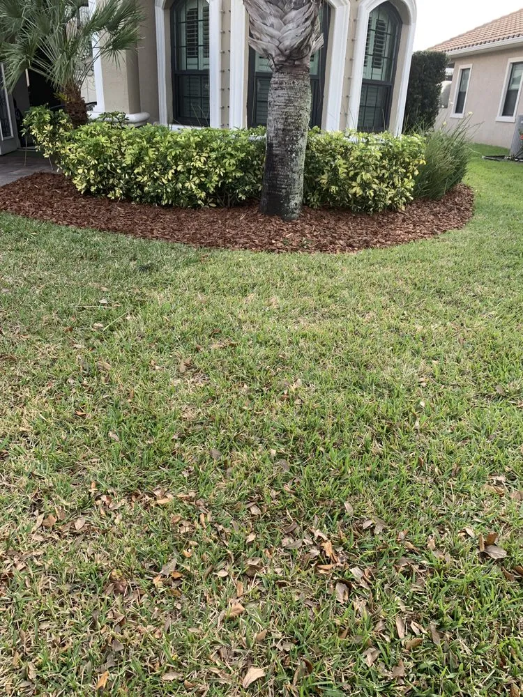 Top-rated landscape design for year-round maintenance in Rockledge, FL by Cortes & Sons Services
