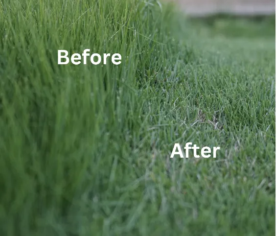 Professional landscape design for residential properties in Rockledge, FL by Cortes & Sons Services