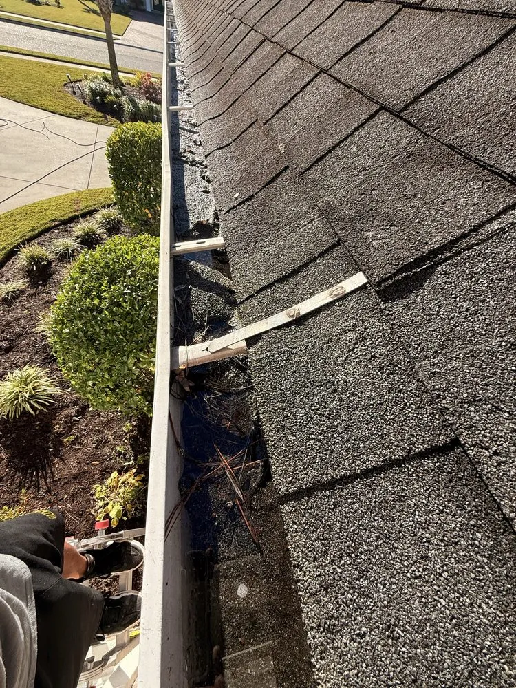 Top-rated garden landscaping experts serving Little River, SC - Cortes FX